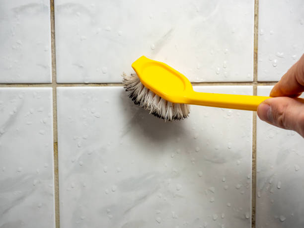 Best Water Damage Restoration  in Anderson, MO