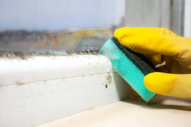 Water Damage Restoration in Anderson, MO